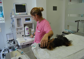 Imagem alusiva ao Projeto