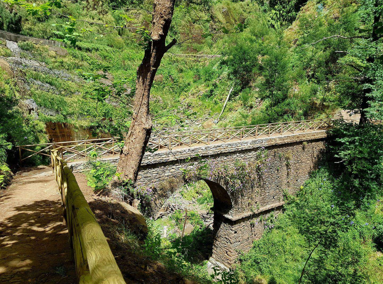 Imagem alusiva ao Projeto