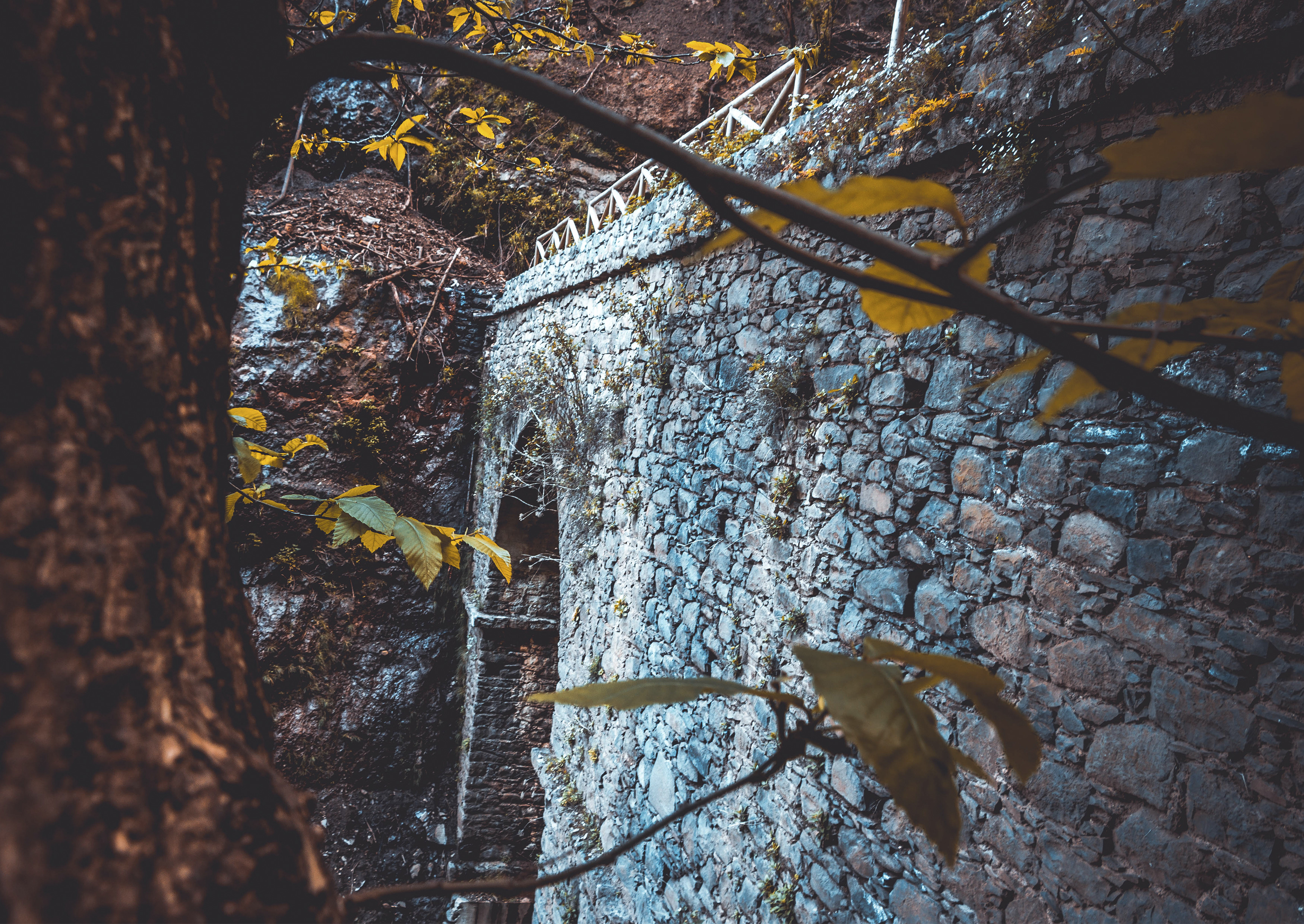 Imagem alusiva ao Projeto