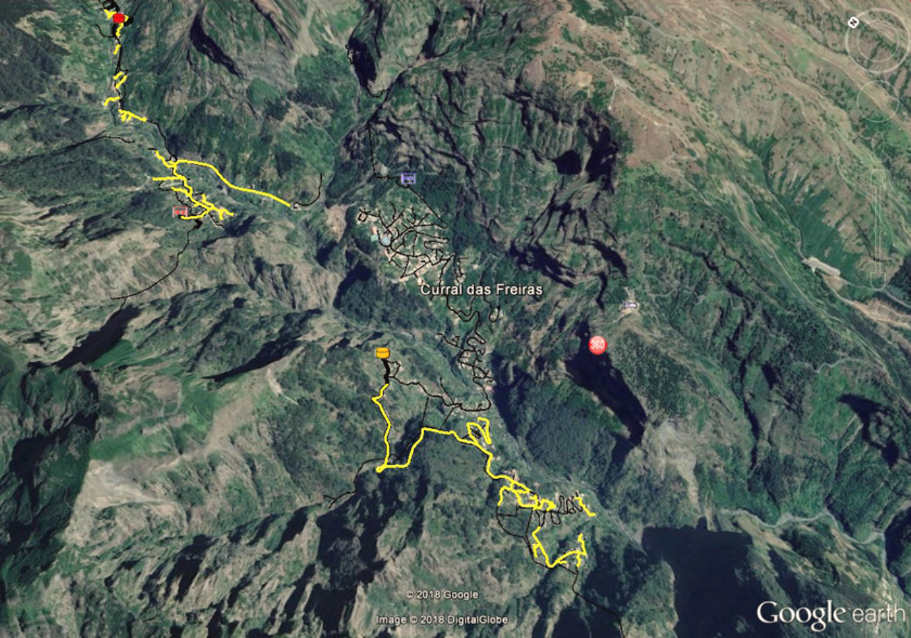 Imagem alusiva ao conteúdo